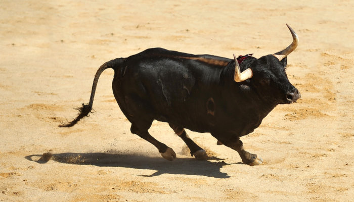 Bitcoin Crosses Above $4,000: Genuine Rally or Bull Trap?