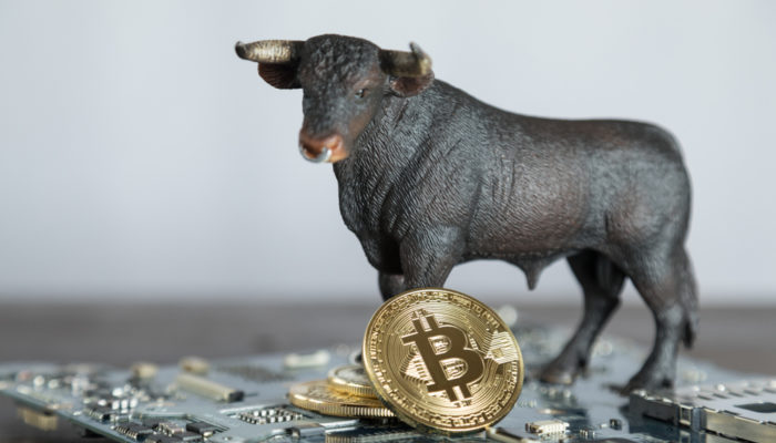 Crypto Sentiment Remains Bullish As Bitcoin Holds Above $4,000