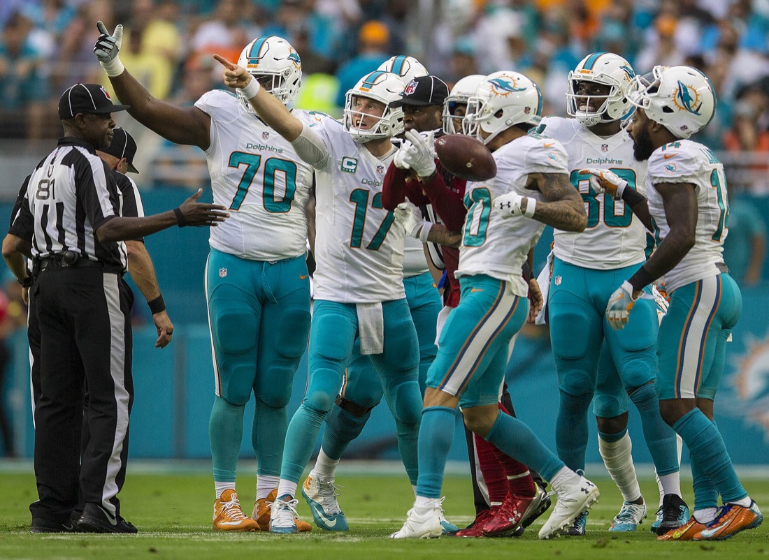 Litecoin Named Official Cryptocurrency Of The Miami Dolphins